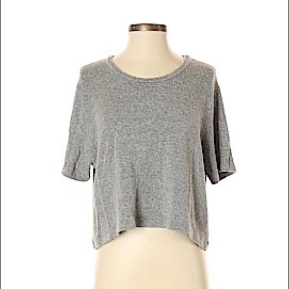 Brandy Melville Gray Crop Top